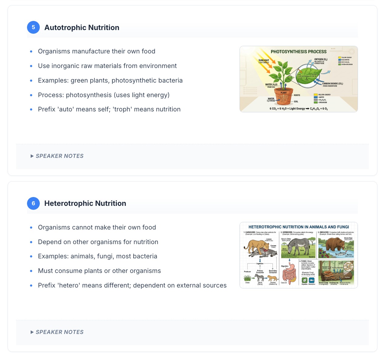 Export menu โ PowerPoint, PDF, Google Slides, save as template
