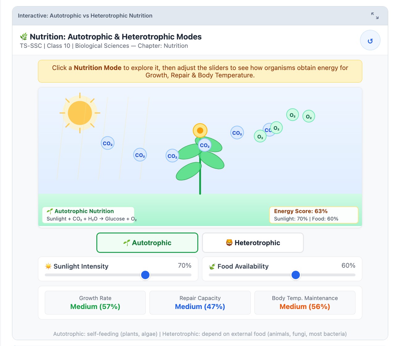 Interactive Visual โ HTML5 simulation with sliders and live response readouts